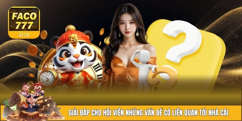 FACO777 6 Giải đáp cho hội viên những vấn đề có liên quan tới nhà cái